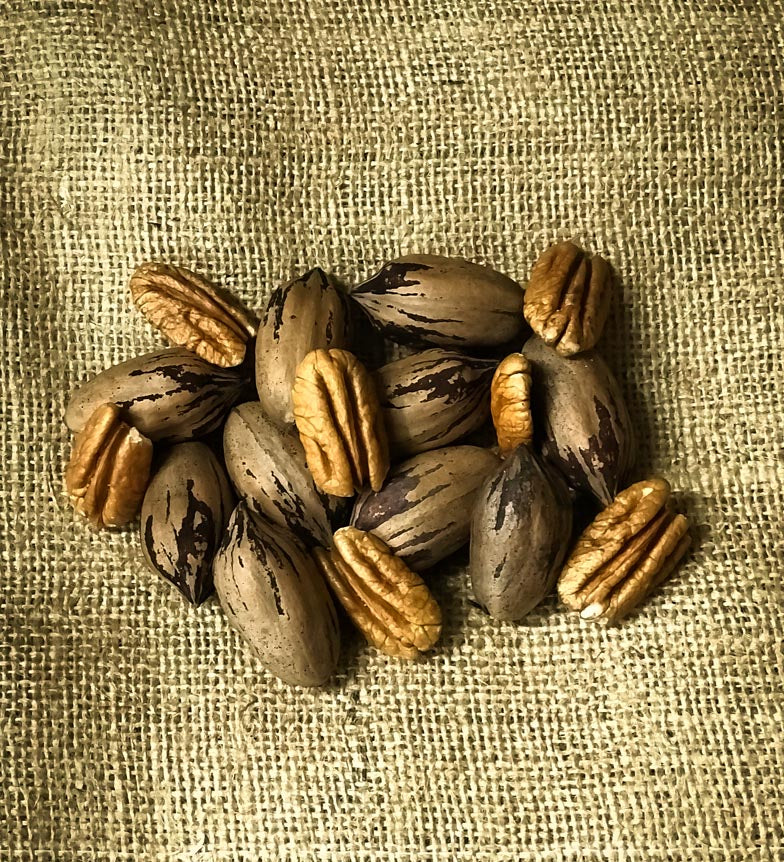 Pecan halves and in-shell pecans on a burlap background