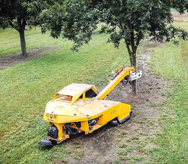 A bright yellow pecan tree shaker machine operating in a green orchard, gripping the trunk to gently shake ripe pecans from the tree during harvest