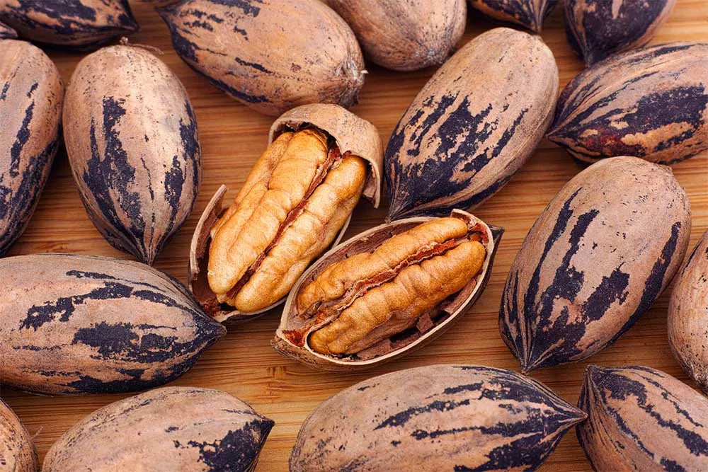 A close-up of in-shell pecans scattered across a rustic wooden table, with two centrally placed shells cracked open to reveal the fresh, golden-brown pecan nut inside