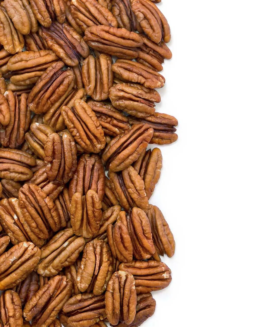 A vertical arrangement of fresh Georgia shelled pecan halves against a clean white background, showcasing their rich brown color and natural texture